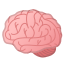 brain