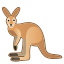 kangaroo