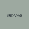 #9DA9A0