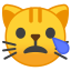 crying_cat_face