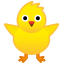 hatched_chick