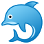 dolphin