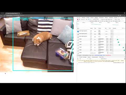 TensorFlow Object Detection API on a video element