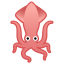 squid