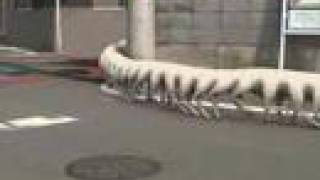 The long dog