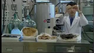 Shit Burger: Japanese Researcher Creates Artificial Meat From Human Feces WWW.GOODNEWS.WS