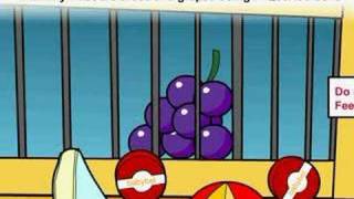 The Cheese Family Go To The Zoo