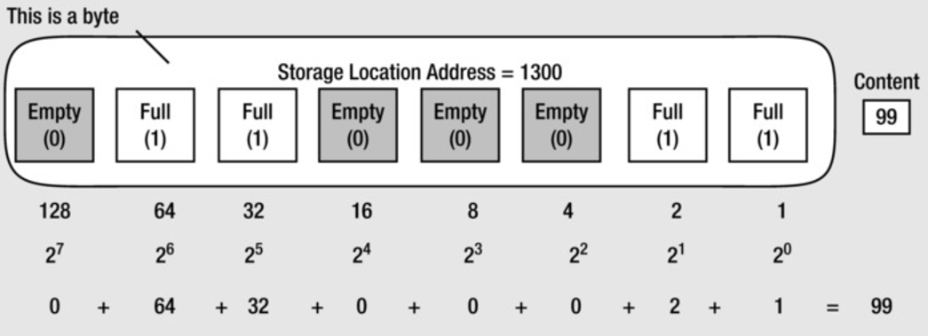 example of bits in a byte