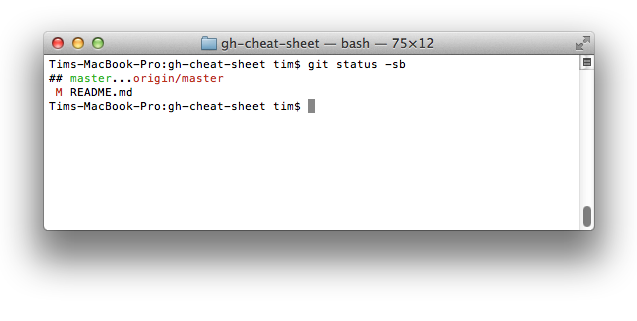 git status -sb