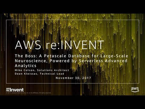 AWS re:invent 2017: The Boss: A Petascale Database for Large-Scale Neuroscience, Pow (DAT401)
