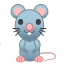 rat