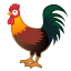 rooster