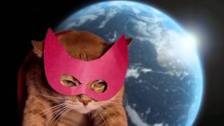 СУПЕРКОТ  SUPERCAT 
