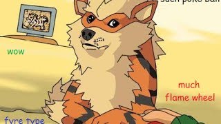 You have encountered Ａ  ＤＯＧＥ