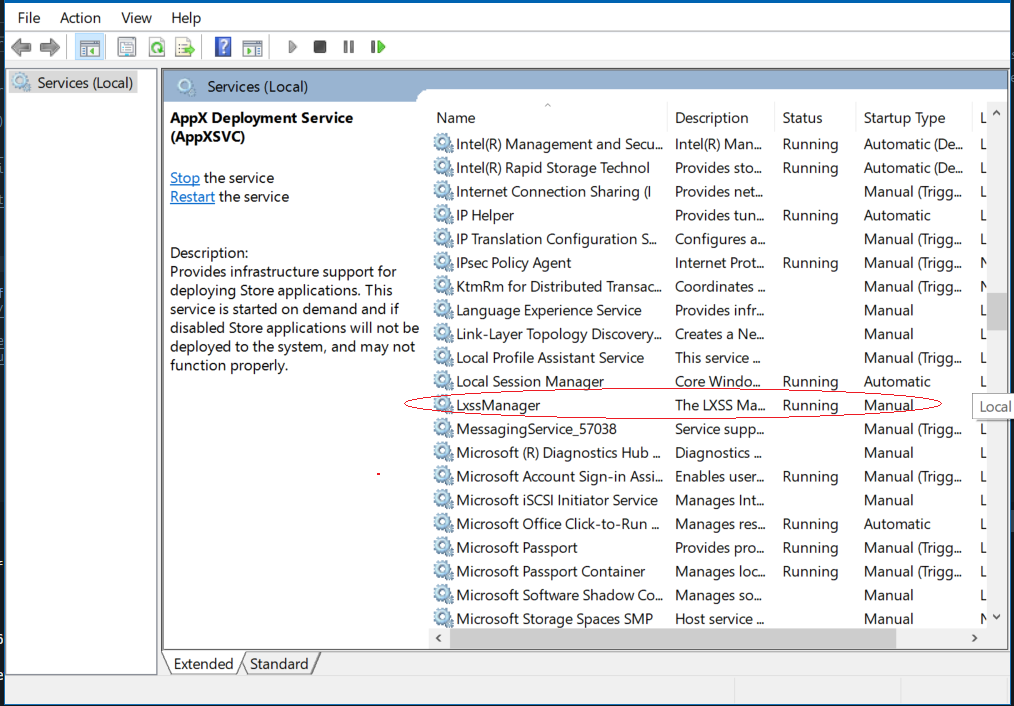 Lxss Manager