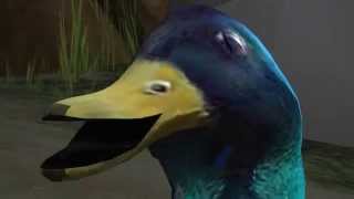 SFM  Duck.exe has stopped working
