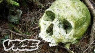 Suicide Forest in Japan