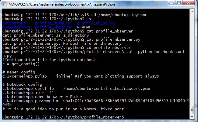 Contents of ipython_notebook_config.py