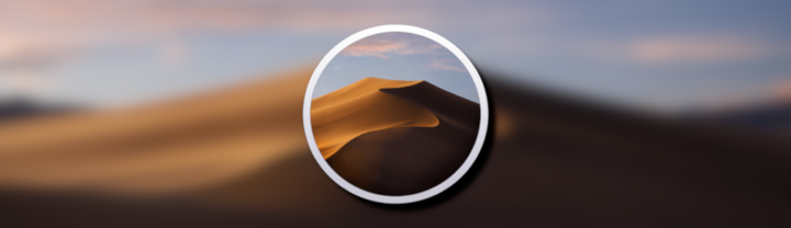 Mojave Banner