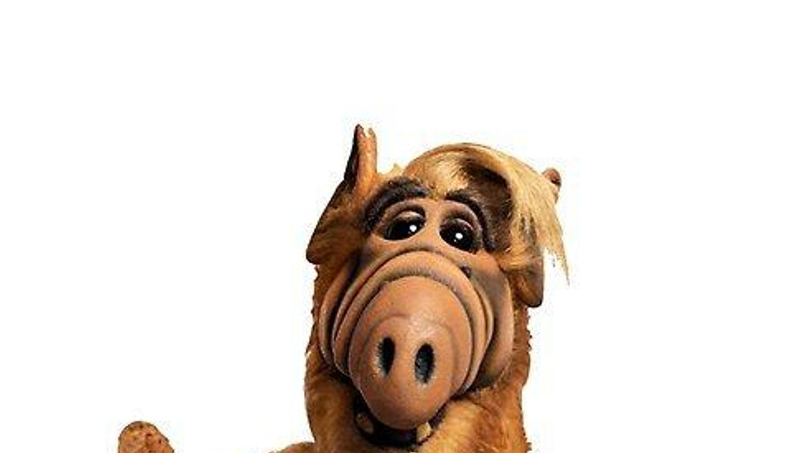 ALF