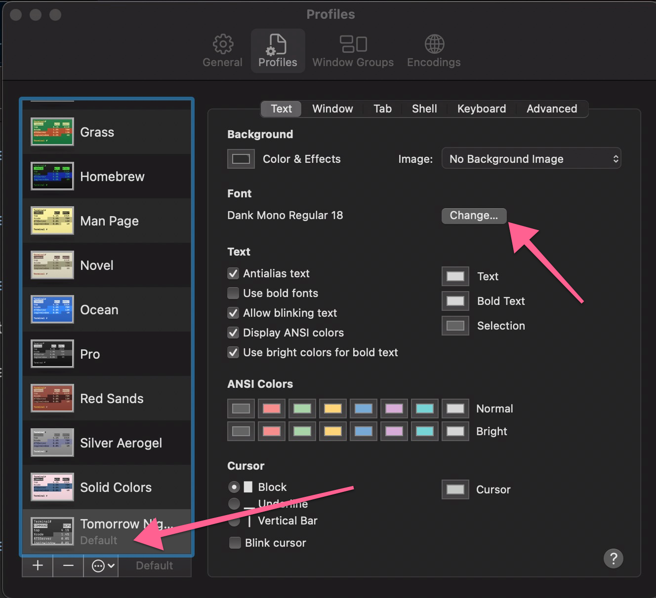 terminal preferences