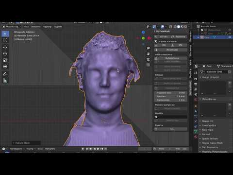 MyFaceMask add-on - Tutorial (ITA)