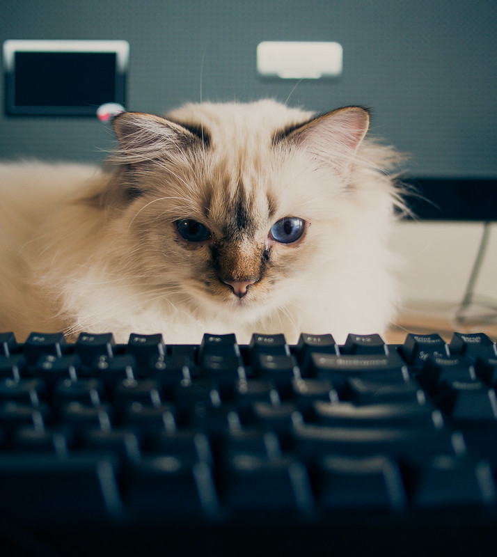 Pixel with the Keyboard