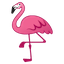 flamingo