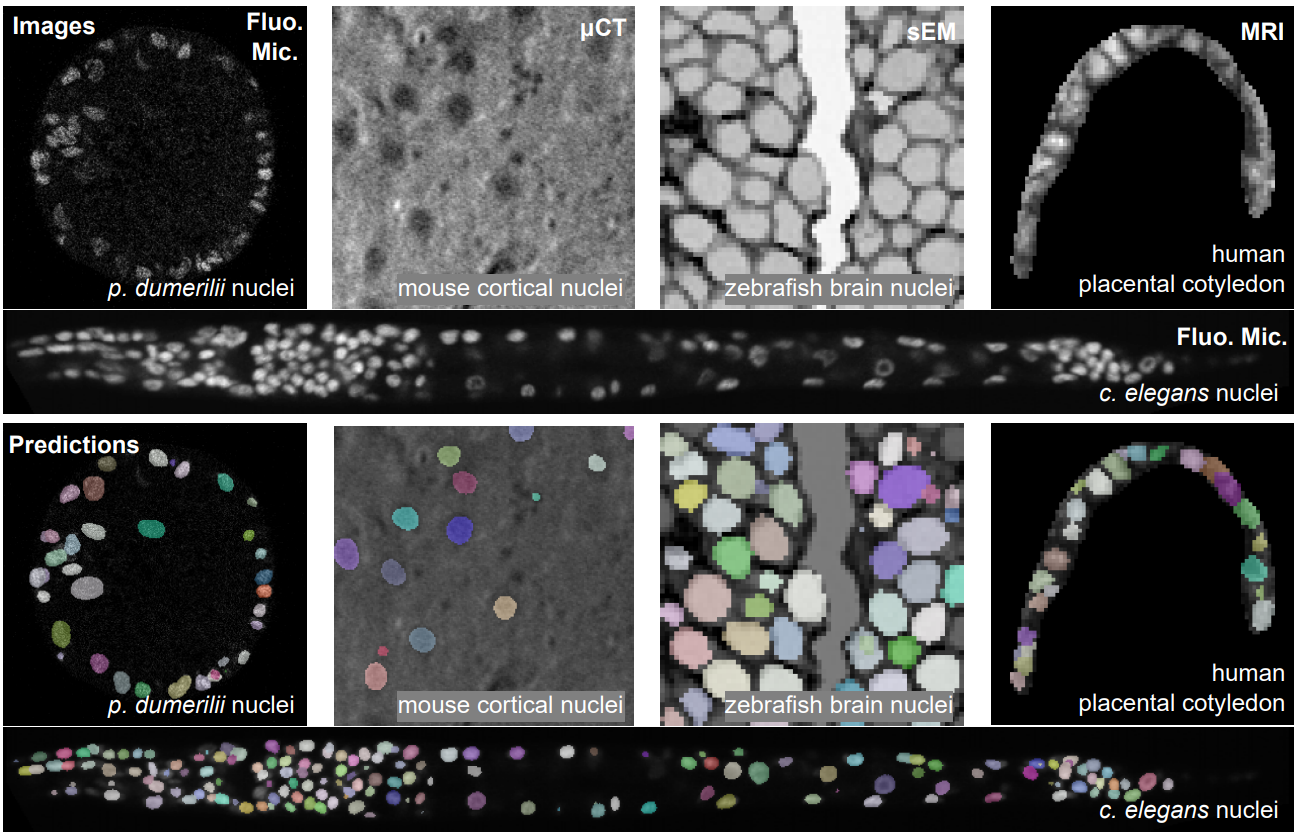 Sample results on 5 datasets