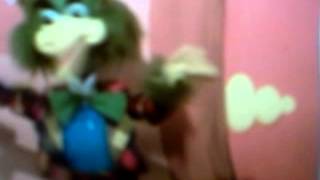 bird