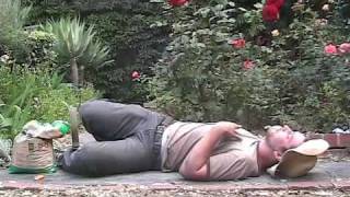 Gardening on Salvia