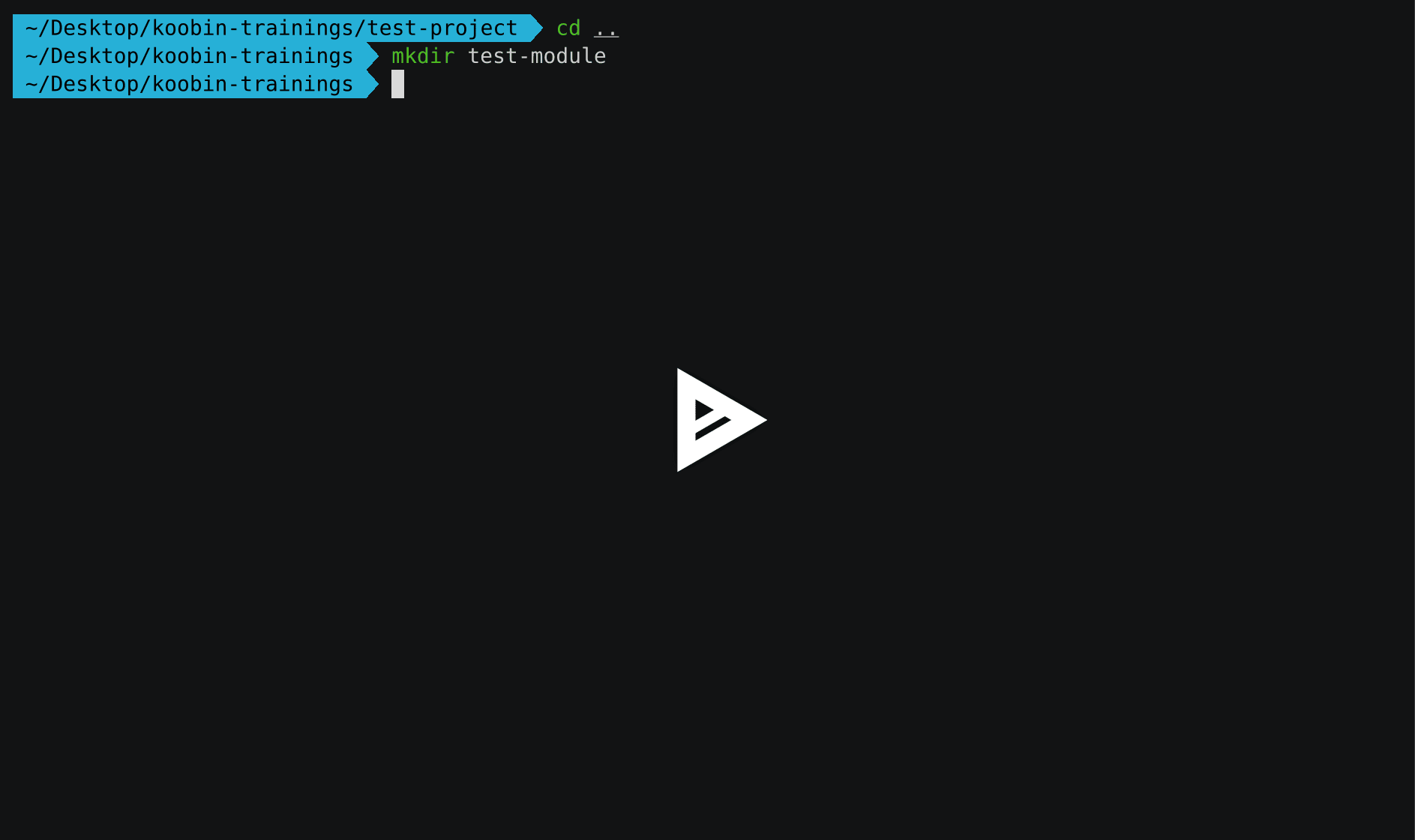 asciicast
