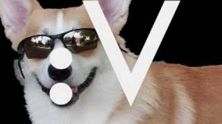 :V BARK BARK