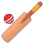 cricket_game