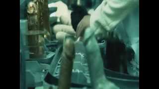 Push It To The Limit - Dildo Factory