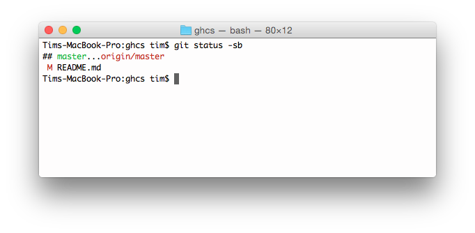 git status -sb