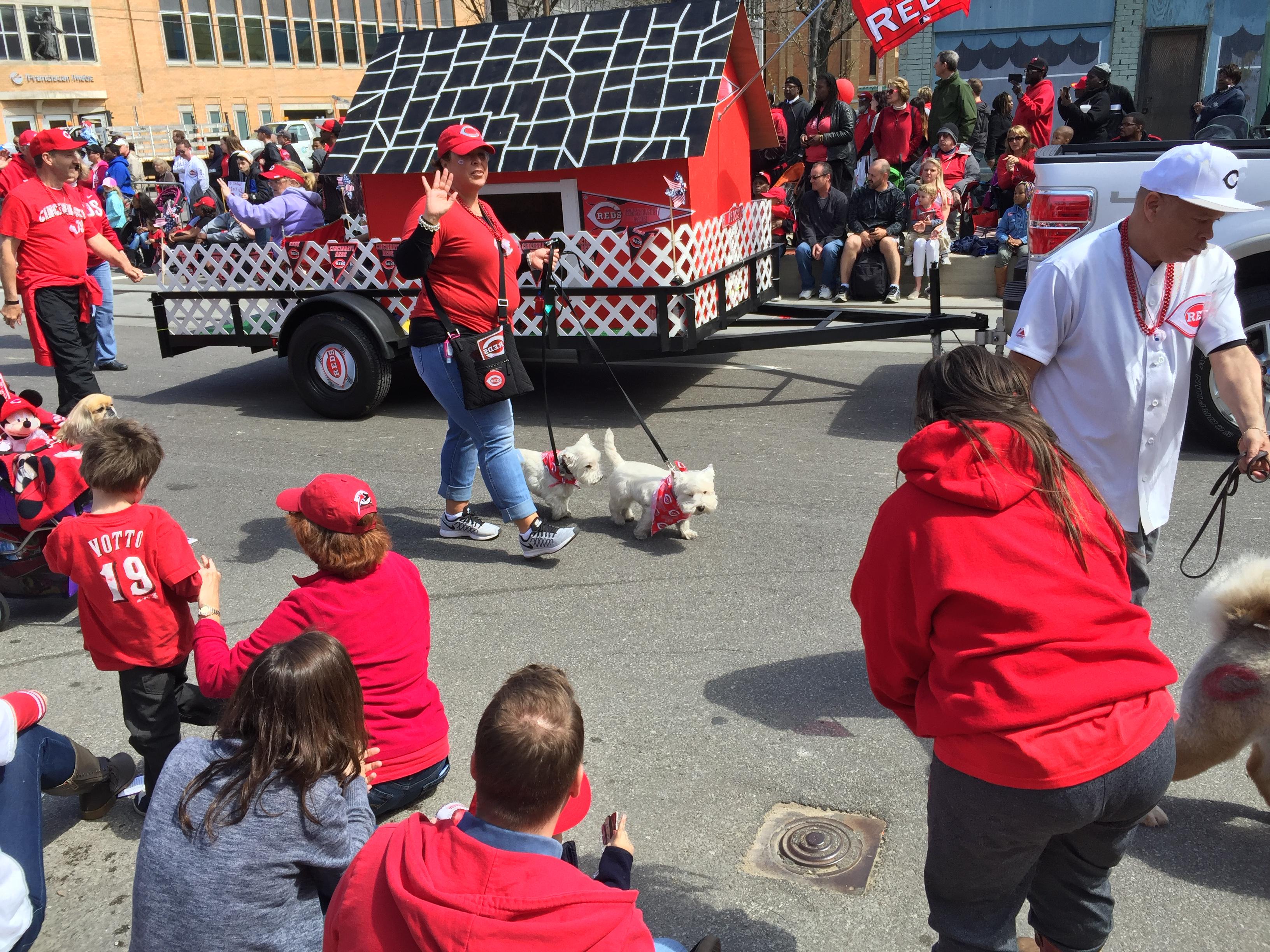 Westies at the Cincinnati Reds Parade