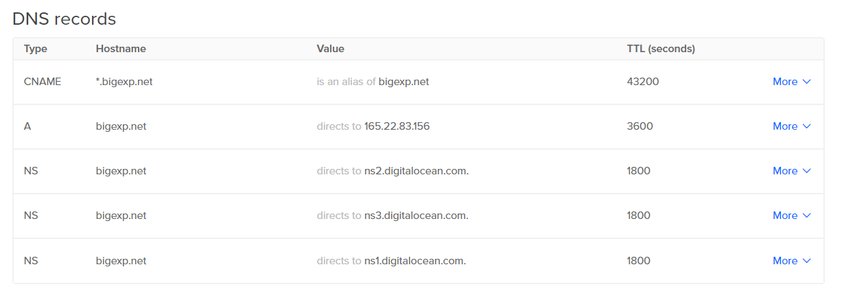 The Digital Ocean interface containing all the DNS records.
