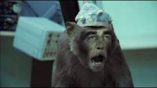 Basement Jaxx - Where's Your Head At   Official Video   Rooty