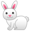 rabbit2