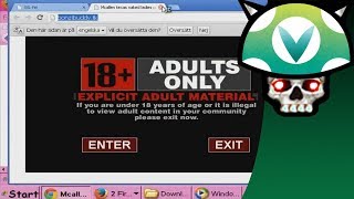  Vinesauce  Joel - Windows XP Destruction