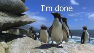 Area 51 penguins do some LCS parkour