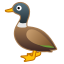 duck