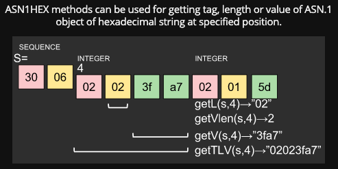 asn1hex-1