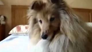 NEW Controversial 9 11 Hilarious Vid