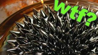 How to make Magnetic Fluid  ferro fluid 