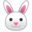 rabbit