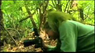 burd.mov