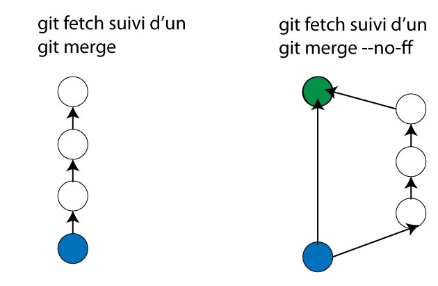 différence fast forward no fast forward