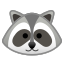 raccoon